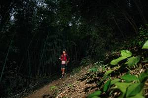 BIB: 
                            <button type="button" onclick="openModal(28141990)" class="btn btn-primary btn-sm float-right btn-popup" data-toggle="modal" data-target=".modal-high-quality">
                        <i class="fas fa-shopping-cart"></i> Add to Cart
                    </button>
                                            <button type="button" onclick="isThisMe(28141990, true)" class="btn btn-success btn-sm float-right btn-popup btn-isme hidden" data-toggle="tooltip" data-placement="bottom" title="นี่คือรูปของคุณใช่ไหม คลิกที่นี่เพื่อเอาเข้าอัลบั้ม">
                        <i class="fas fa-plus"></i> Add to album
                    </button>
                    <button type="button" onclick="isThisMe(28141990, false)" class="btn btn-warning btn-sm float-right btn-popup btn-isnotme hidden">
                        <i class="fas fa-ban"></i> Remove from album
                    </button>